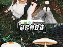 -杭州半山国家森林公园