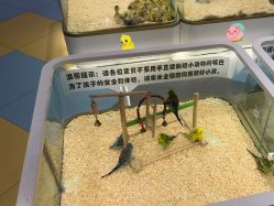 -meland亲子乐园•派对•研学(苏州悠方购物中心店)