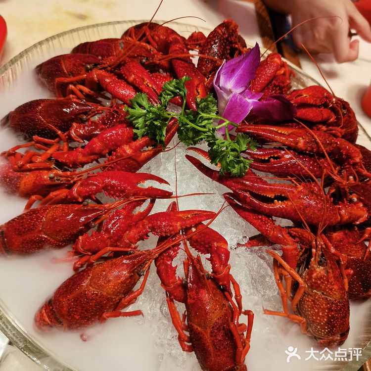 小龙虾上市后一直来光顾这家华虾乡，主要是虾的质量很好