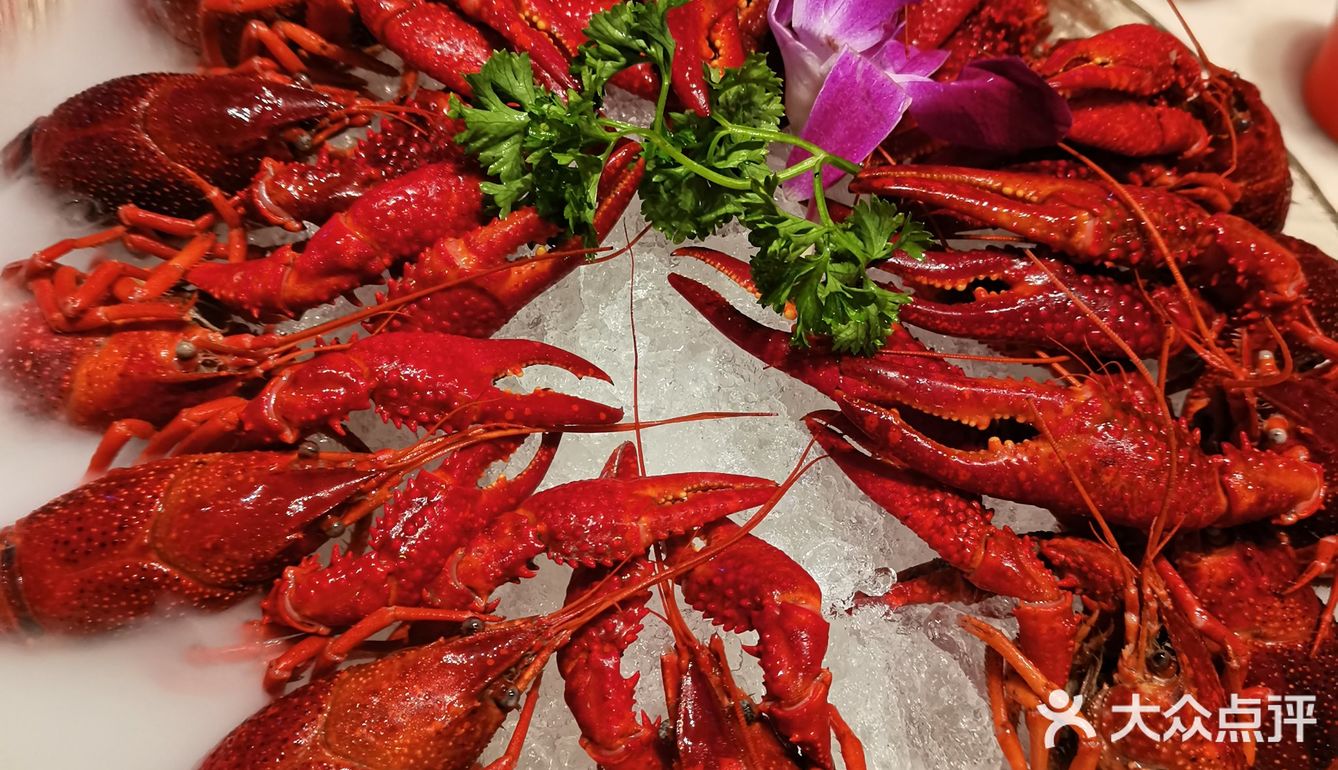 小龙虾上市后一直来光顾这家华虾乡，主要是虾的质量很好