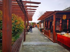 -茯茶镇
