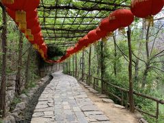 -井塘古村