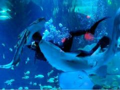 -多彩贵州城极地海洋世界