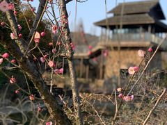 -灵顺寺