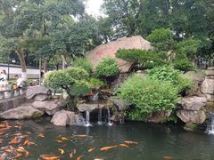 -江心屿景区