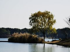 -美兰湖景区