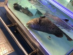 -盒马X会员店(上海森兰商都店)