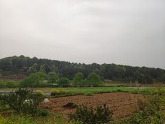 -常德桃花源景区