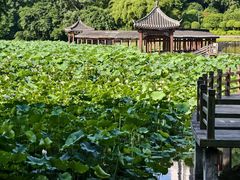 -龙头寺公园