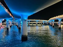 -演武大桥观景平台