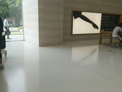 -Apple零售店(济南恒隆广场店)