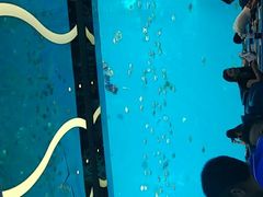 -瑞德姆美人鱼海底演艺主题餐厅(亚龙湾店)