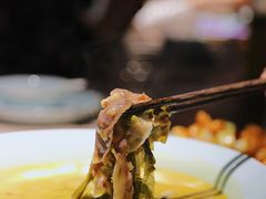 -猫头婴小酒馆FUN OWL(1912店)