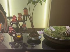 -耳湾躺式采耳SPA馆(保利五月花店)