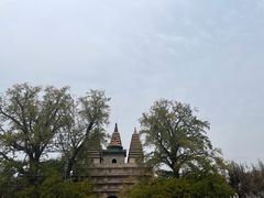 -北京石刻艺术博物馆(五塔寺)