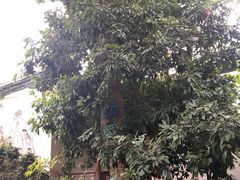 -福建民俗博物馆