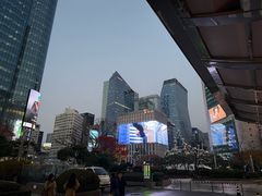 -乐天免税店(明洞店)