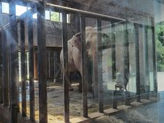 -石家庄市动物园