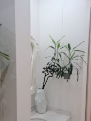 -郑荃丽格医疗美容