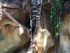 -杭州开元森泊度假乐园