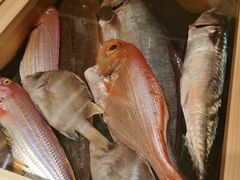 -镹·鱼料理  国产鱼使用店