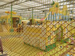 -南宫五洲植物乐园