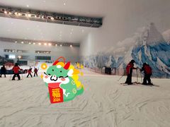 -哈尔滨热雪奇迹