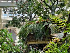 -正佳雨林生态植物园