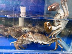 -阳澄湖大闸蟹·琼灵阁牌品牌连锁(吴中总店)