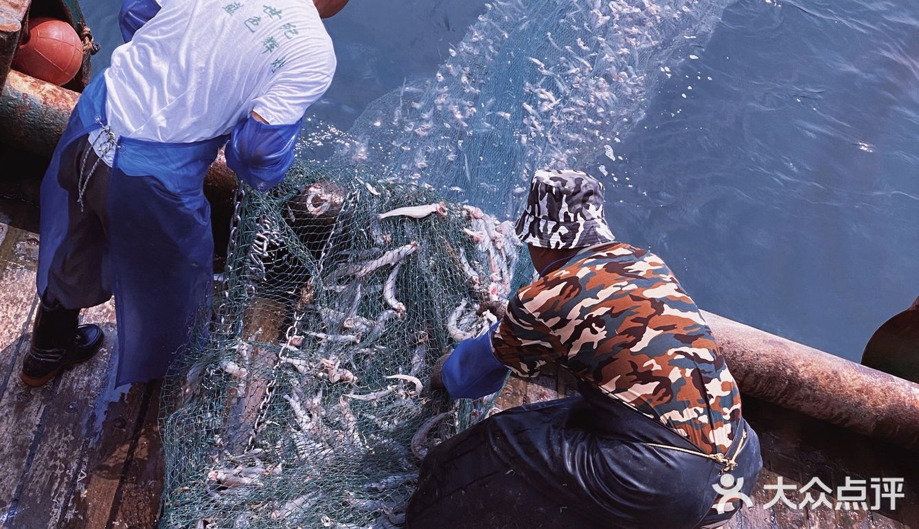 象山开渔节前乘旅游船捕鱼,收获看傻了