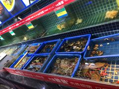 -必点海鲜·鲅鱼水饺(鞍山西道店)