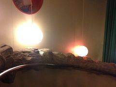 iphone_upload_pic-九朝会昆曲·宴(望京店)