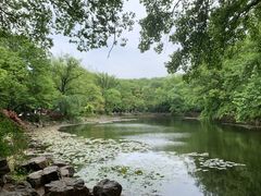 -灵谷景区