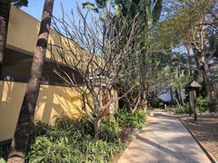 -厦门日月谷温泉渡假村