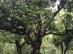 android_upload_pic-红旗渠风景区