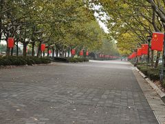 -东华大学(松江校区)