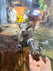 -Zoolung Zoolung动物主题公园(海信广场店)