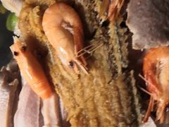 糟八件-翠亭酒家(山西南路店)