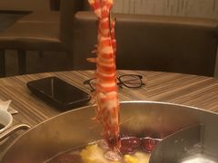 -四季火锅酒家(新濠影汇店)