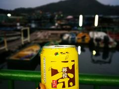 -南丫岛
