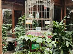 -束河人家(南锣鼓巷店)