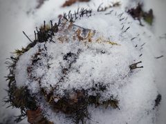 -硗碛藏寨·神木垒景区