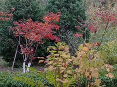 -大兴滨河森林公园