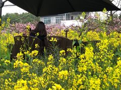 -观清澜疗愈民宿(龙泉山风景区店)