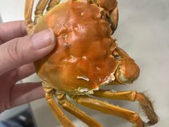 -阳澄湖大闸蟹·琼灵阁牌品牌连锁(吴中总店)