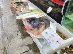 -高淳老街