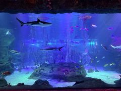 -沈阳海洋探索中心