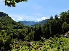 -石台牯牛降景区