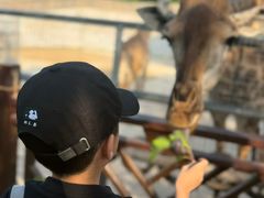 -泉州海丝野生动物世界