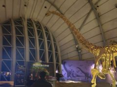 -辽宁古生物博物馆